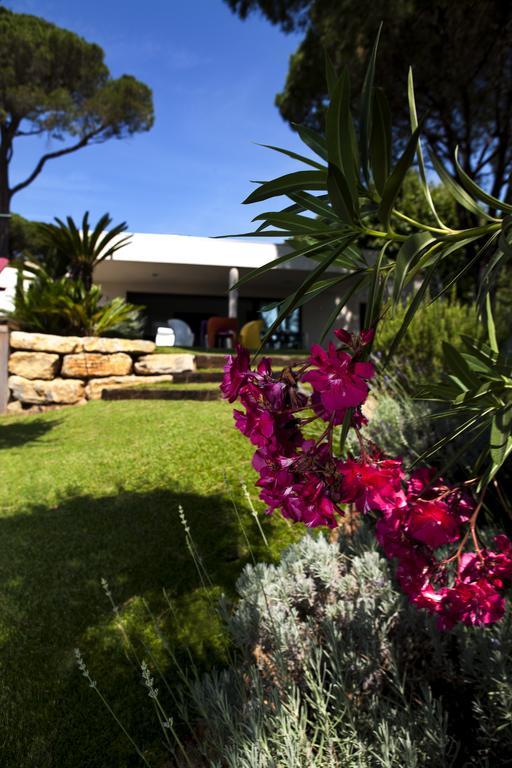 Villa Californie Sainte-Maxime Ngoại thất bức ảnh
